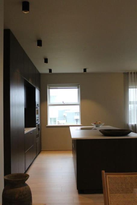 Quiet And Cozy Apartment With A Lake View 레이캬비크 외부 사진